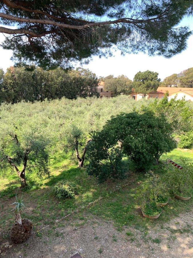 San Giuseppe Casa Per Ferie Otel Quercianella Dış mekan fotoğraf